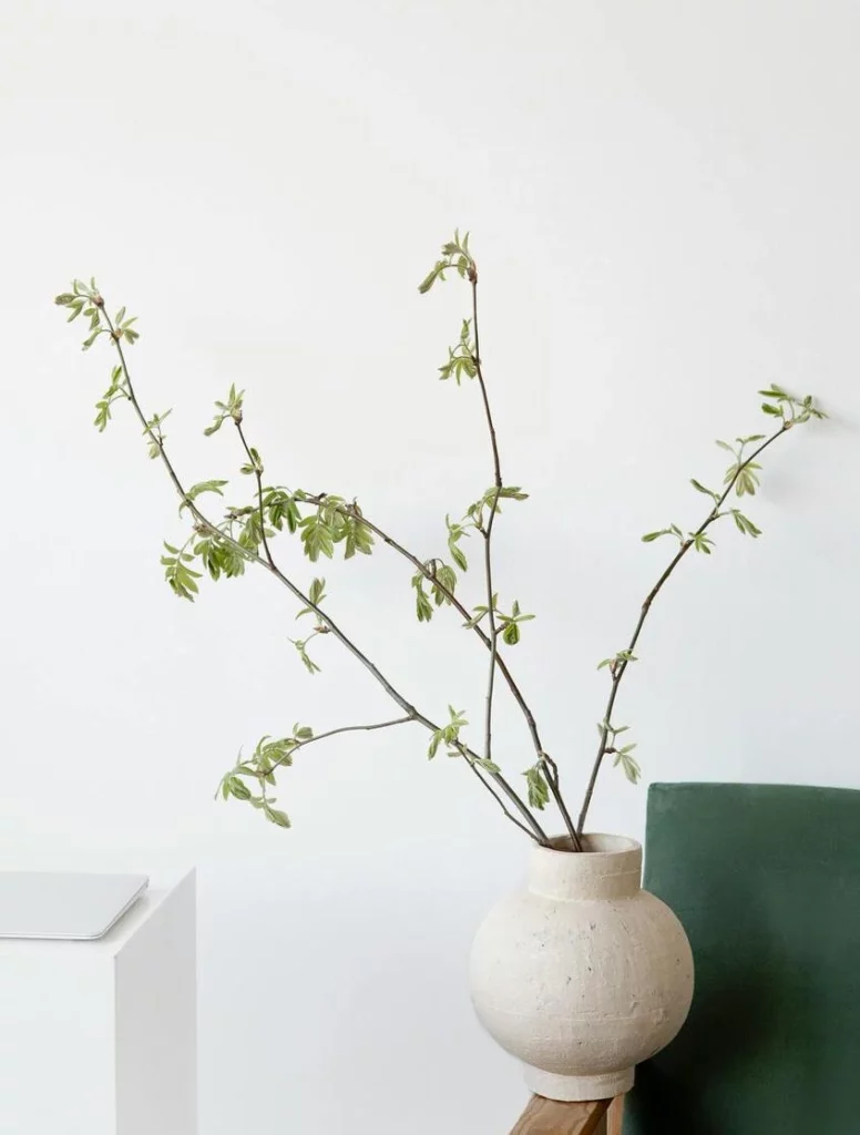 Ramo verde in vaso, elemento decorativo per lo studio di Stefania Demichelis, terapeuta a Torino.